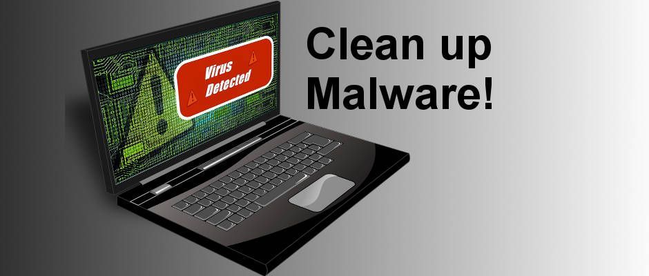 Malware - Spyware - Trojan Removal Services